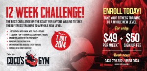 12 week challenge july 2014